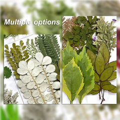 15pcs Dried Pressed Leaves Flowers Resin Fillers Greenery Crafts