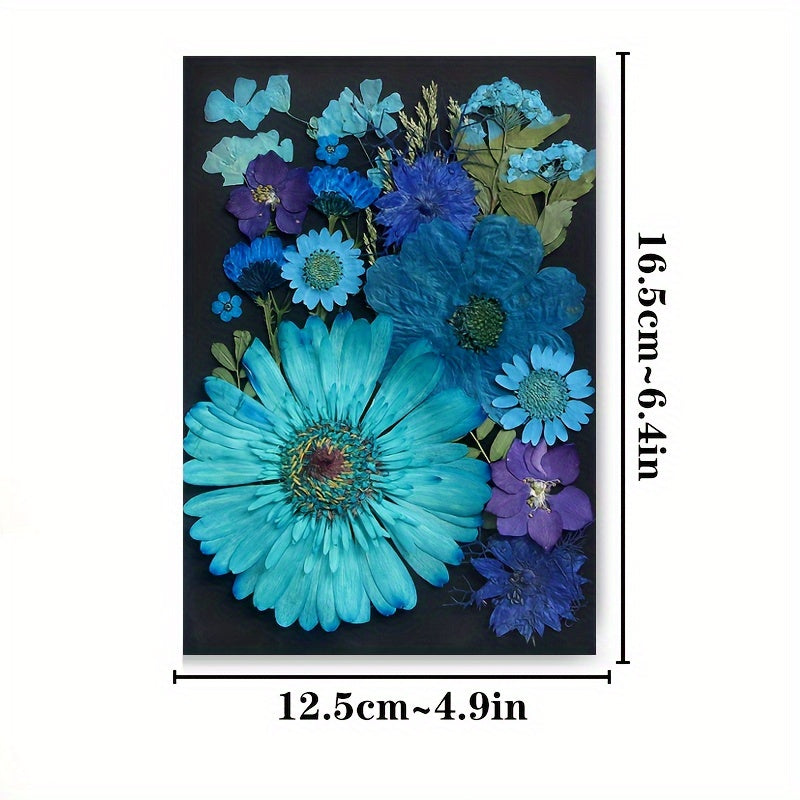 20pcs Natural Dried Flowers Set DIY Art Decoration