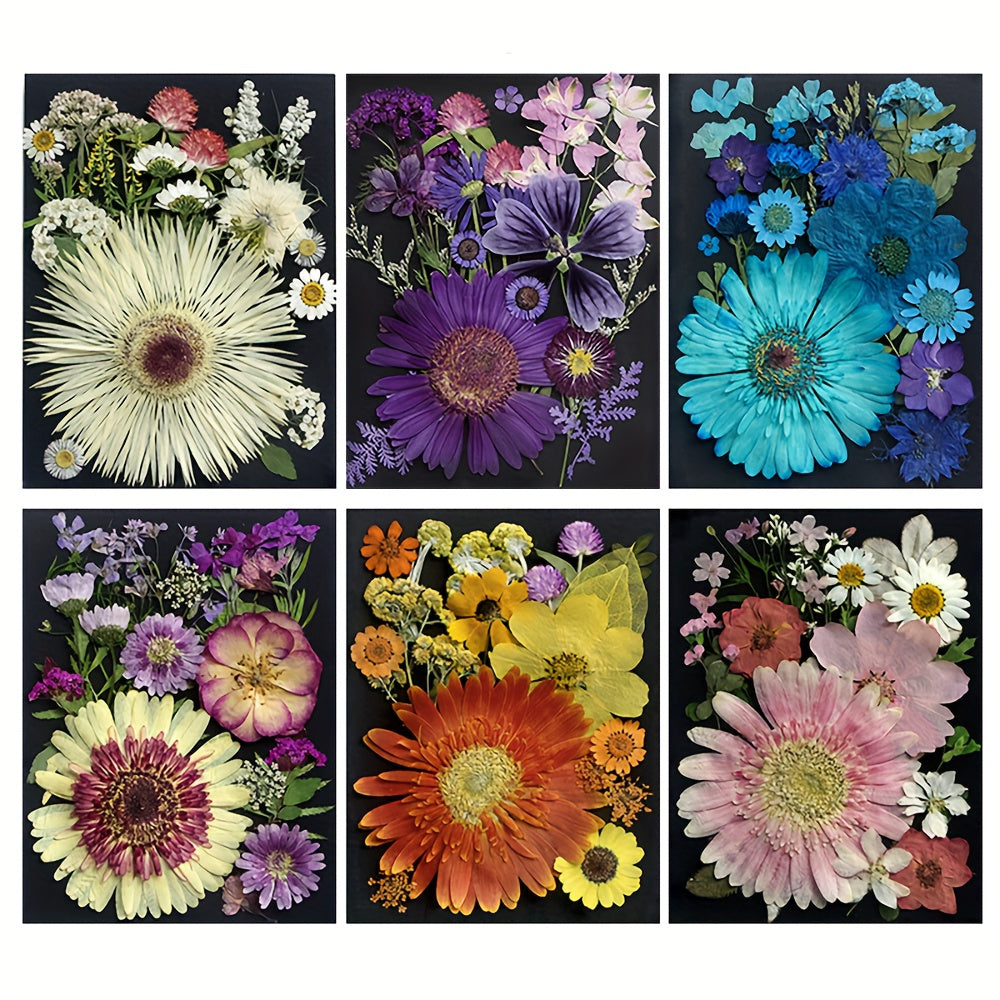 20pcs Natural Dried Flowers Set DIY Art Decoration