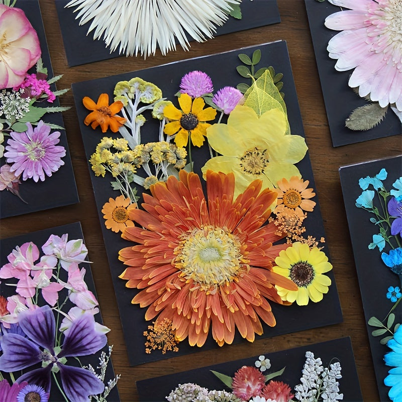 20pcs Natural Dried Flowers Set DIY Art Decoration