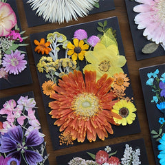 20pcs Natural Dried Flowers Set DIY Art Decoration