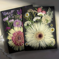 20pcs Natural Dried Flowers Set DIY Art Decoration