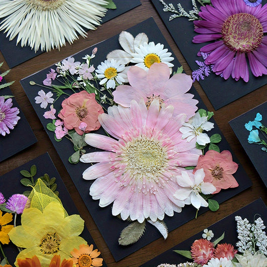 20pcs Natural Dried Flowers Set DIY Art Decoration