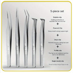 5pcs Eyelash Tweezers Clips Set for Beginners