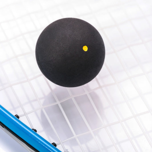 Pro Training Racquetball - English Instruction