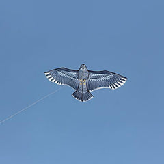 Eagle Kite With Handle Line Outdoor Fun Sports Kite For Beginner