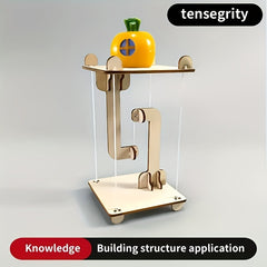Mini Wooden Science Craft Kit