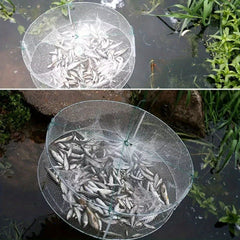 Transparent Shrimp Cage Fishing Net Collapsible Fish Trap Net