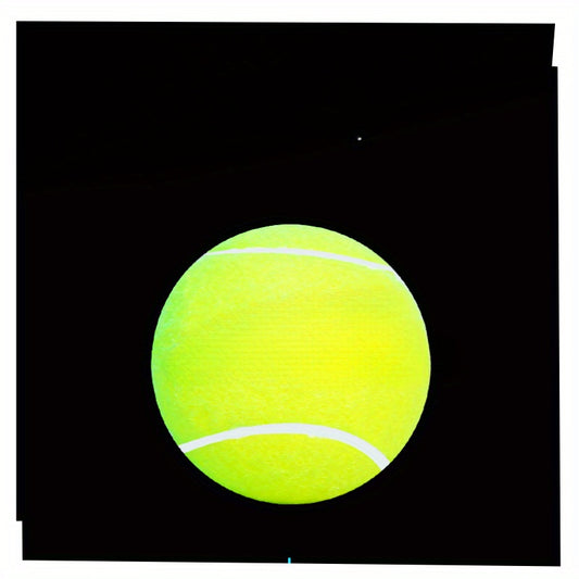 Rubber Tennis Ball Sports Training Accessories