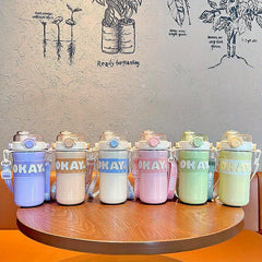 Portable Insulated Water Cup With Straw 635ml 21.47oz