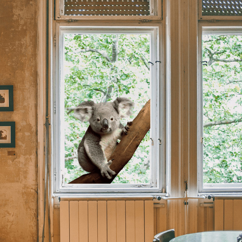 Koala Window Stickers Realistic Animal Decor Double Sided Static Decal