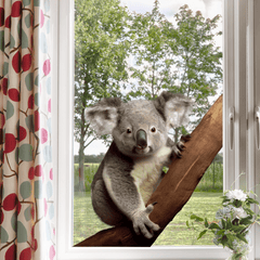 Koala Window Stickers Realistic Animal Decor Double Sided Static Decal