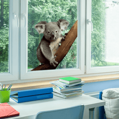 Koala Window Stickers Realistic Animal Decor Double Sided Static Decal