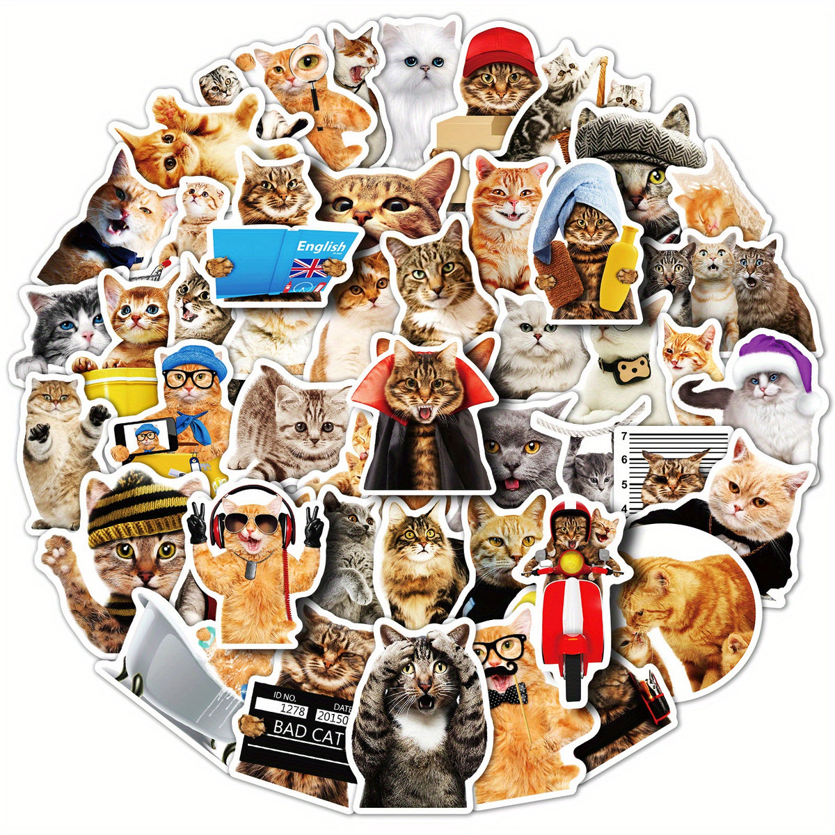 50pcs Funny Cat Waterproof Laptop Sticker Cute Decal for PC Tablet Mobile Guitar