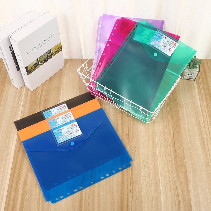 Vertical A4 Frosted File Bag