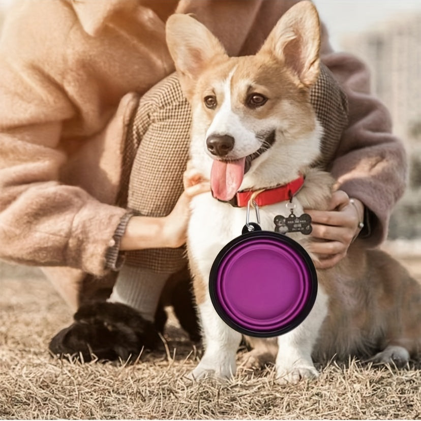 Portable Dog Bowl for Outdoor Travel - Small Pet Feeding Dish