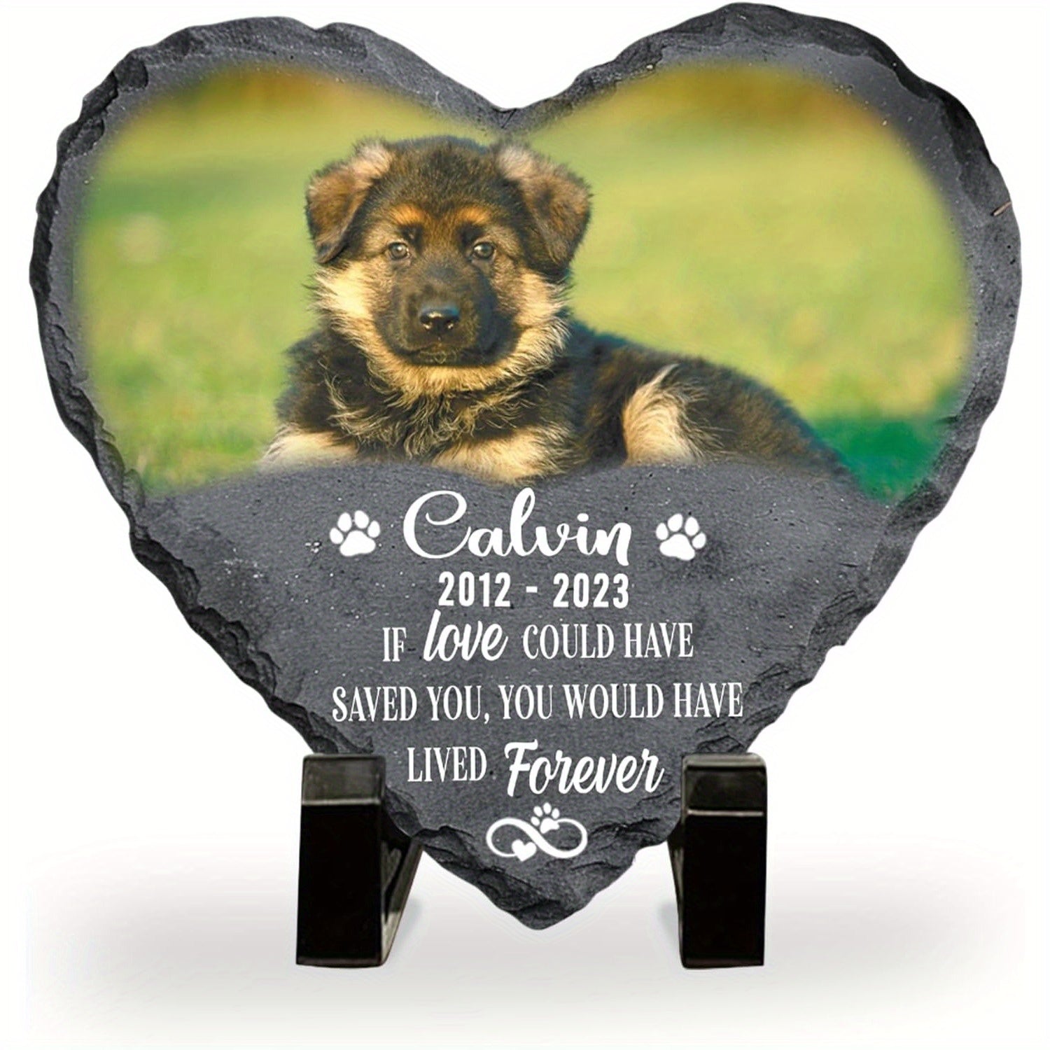 img_5224132
