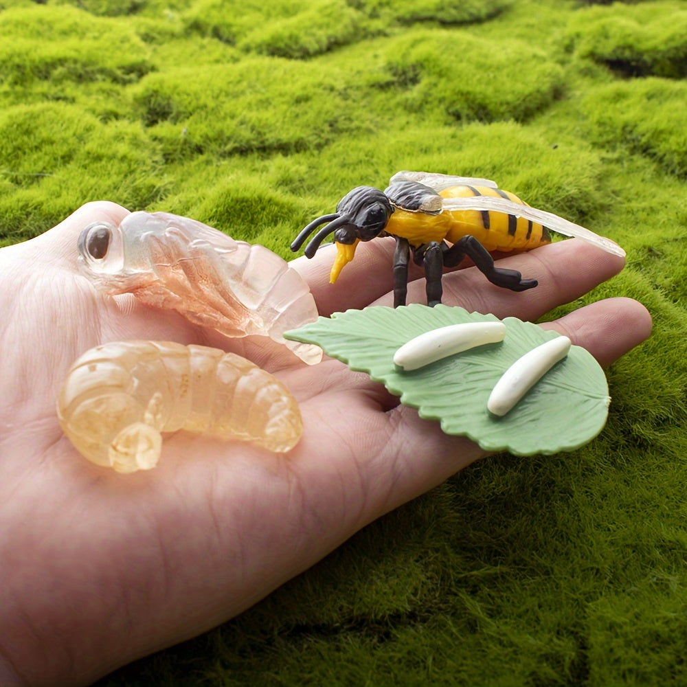 Bee Life Cycle Toy Set with Animal Models