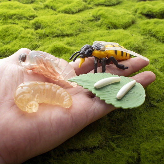 Bee Life Cycle Toy Set with Animal Models