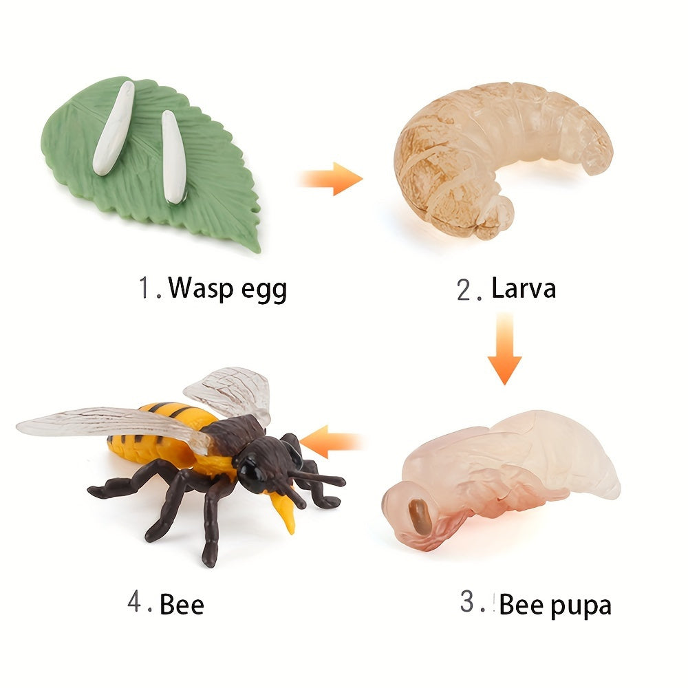 Bee Life Cycle Toy Set with Animal Models