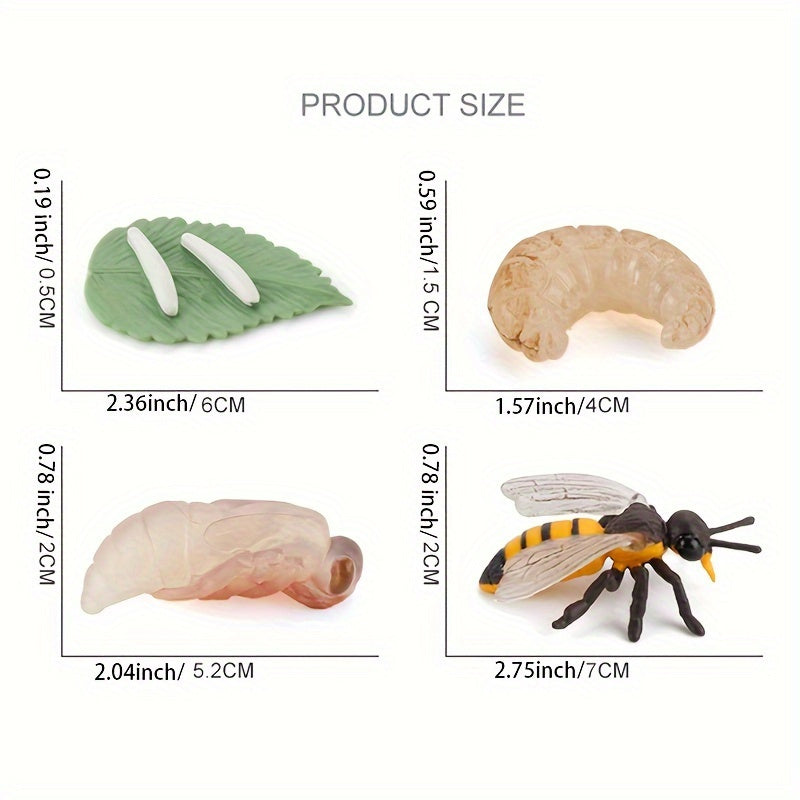 Bee Life Cycle Toy Set with Animal Models
