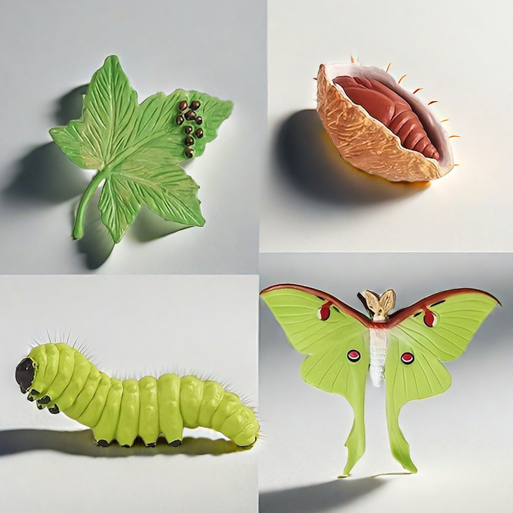 Insect Growth Cycle Figurines Educational Toy Set