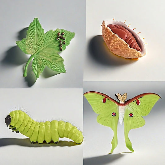Insect Growth Cycle Figurines Educational Toy Set