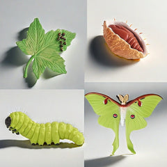 Insect Growth Cycle Figurines Educational Toy Set