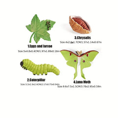 Insect Growth Cycle Figurines Educational Toy Set