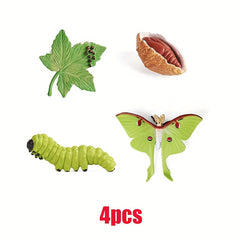 Insect Growth Cycle Figurines Educational Toy Set