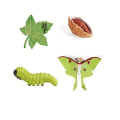 Insect Growth Cycle Figurines Educational Toy Set