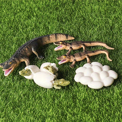 Crocodile Life Cycle Toy Set - Educational Handcrafted Animal Figurines