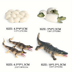 Crocodile Life Cycle Toy Set - Educational Handcrafted Animal Figurines