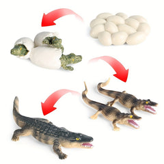 Crocodile Life Cycle Toy Set - Educational Handcrafted Animal Figurines