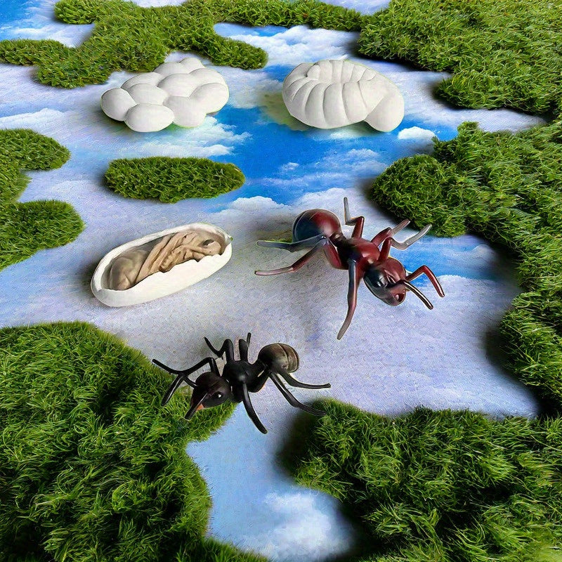 Educational Ant Growth Cycle Kit for Kids, PVC Material, Colors Vary