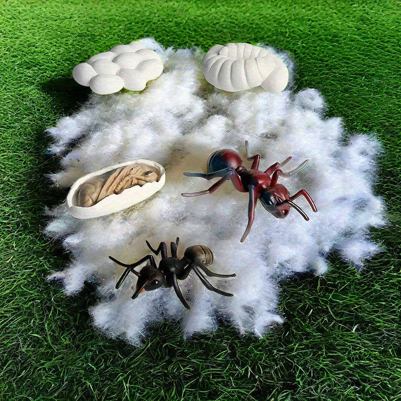 Educational Ant Growth Cycle Kit for Kids, PVC Material, Colors Vary