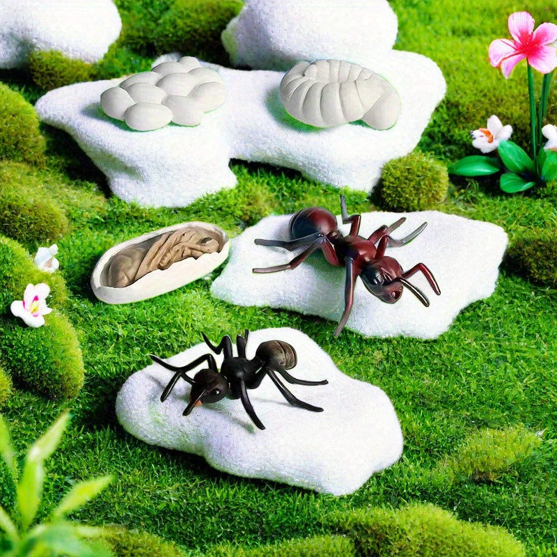 Educational Ant Growth Cycle Kit for Kids, PVC Material, Colors Vary