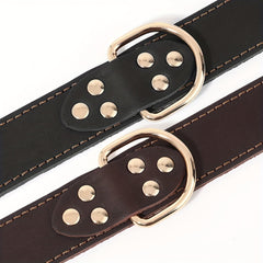Adjustable Heavy Duty Leather Dog Collar for Medium & Large Dogs