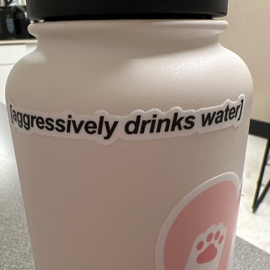 Positive Drinking Stickers for Water Bottles - Hydration Reminder Decals