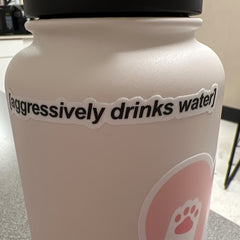 Positive Drinking Stickers for Water Bottles - Hydration Reminder Decals