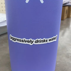Positive Drinking Stickers for Water Bottles - Hydration Reminder Decals