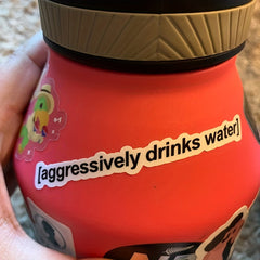 Positive Drinking Stickers for Water Bottles - Hydration Reminder Decals