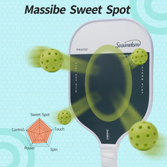 PR200 Pickleball Paddle Set 2pcs Racket 4pcs Ball 1pc Bag