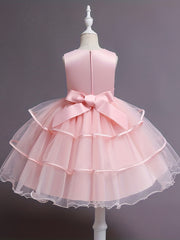 Princess Dress For Christmas Birthday & Evening Parties Sleeveless Flower Embroi