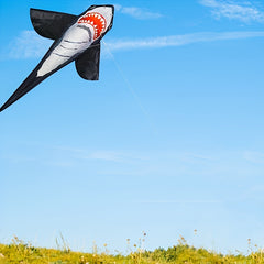 3D Cartoon Shark Kite for Outdoor Sports Flying - Beach Park