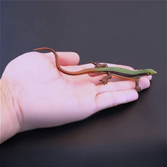 Realistic Lizard Figurine for Garden Bonsai Landscaping