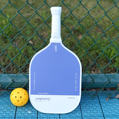 PR200 Pickleball Paddle Set 2 Rackets 4 Balls Bag