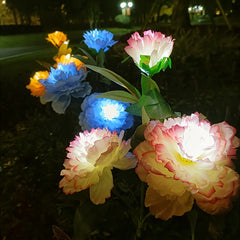 img_15221121
