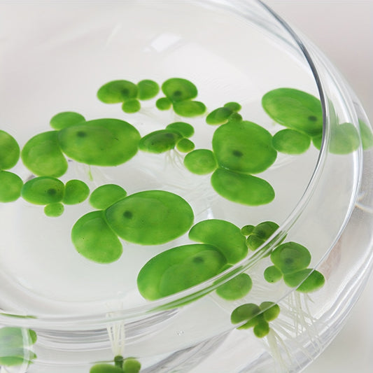 Artificial Floating Duckwees With Leaves for Pond Fish Tank Aquarium Decoration