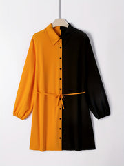  Colorblock Lantern Sleeve Shirt Dress With Belt